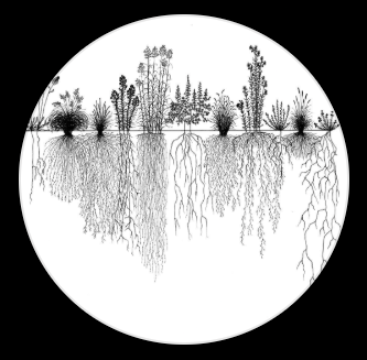 Take Root Hospitality